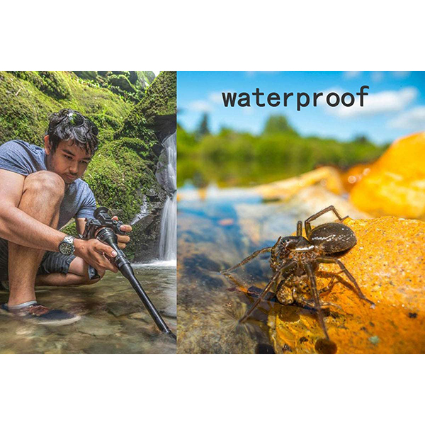 لنز ماکرو Laowa 24mm f14 لنز ماکرو Laowa 24mm f14